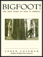 Bigfoot!