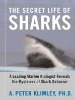 The Secret Life of Sharks: A Leading Marine Biologist Reveals the Mysteries o