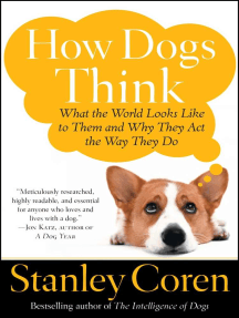 Dog Behavior Dogs Emotional Intelligence How Dogs Think By Stanley