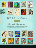 Birds in Fall