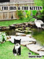 The Ibis & the Kitten