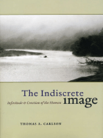 The Indiscrete Image