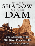 In the Shadow of the Dam