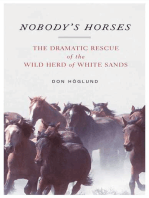 Nobody's Horses
