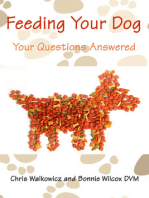 Feeding Your Dog: Your Questions Answered