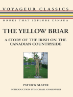 The Yellow Briar: A Story of the Irish on the Canadian Countryside