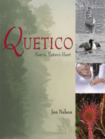 Quetico: Near to Nature's Heart