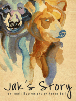 Jak's Story
