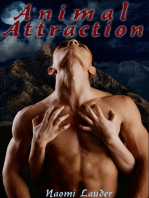 Animal Attraction (Werewolf erotica)