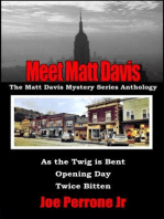 Meet Matt Davis