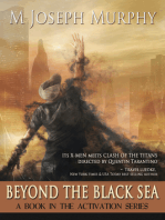 Beyond the Black Sea