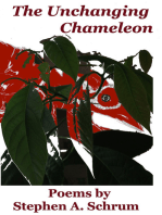 Unchanging Chameleon