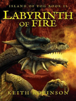 Labyrinth of Fire: Island of Fog, #2