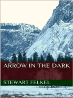Arrow in the Dark