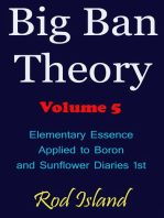 Big Ban Theory: Elementary Essence Applied to Boron and Sunflower Diaries 1st, Volume 5
