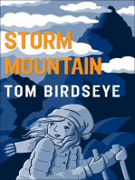 Storm Mountain