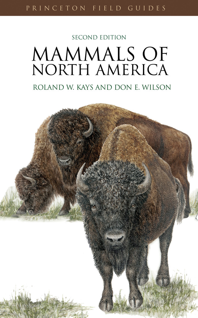 Read Mammals of North America Online by Roland W. Kays and Don E