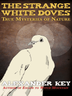 The Strange White Doves: True Mysteries of Nature