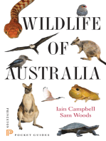 Wildlife of Australia