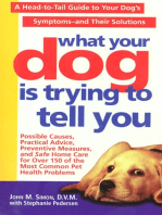 What Your Dog Is Trying To Tell You: A Head-To-Tail Guide To Your Dog's Symptoms & Their Solutions