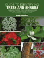 Guide to Identifying Trees and Shrubs Plants M-Z: Includes Conifers, Vines and Groundcovers