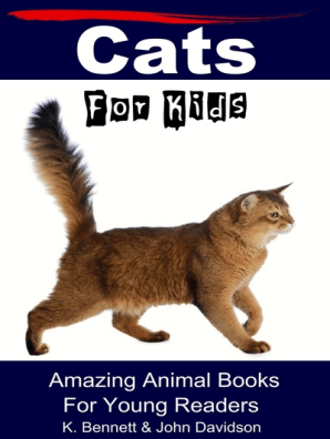 An in depth look at siamese cats