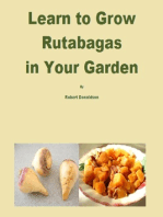 Learn to Grow Rutabagas in Your Garden