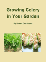 Growing Celery in Your Garden