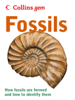 Fossils