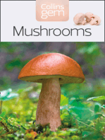 Mushrooms