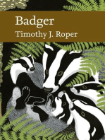 Badger