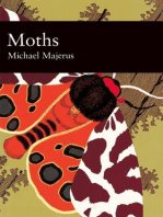 Moths