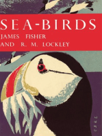 Sea-Birds