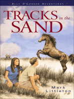 Tracks in the Sand (Ally O’Connor Adventures Book #1)