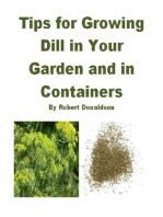 Tips for Growing Dill in Your Garden and in Containers
