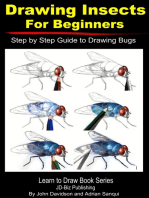 Drawing Insects For Beginners