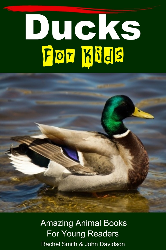 Ducks For Kids Amazing Animal Books For Young Readers by John Davidson