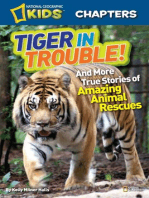 National Geographic Kids Chapters: Tiger in Trouble!: And More True Stories of Amazing Animal Rescues