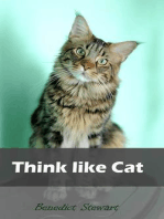 Think like Cat