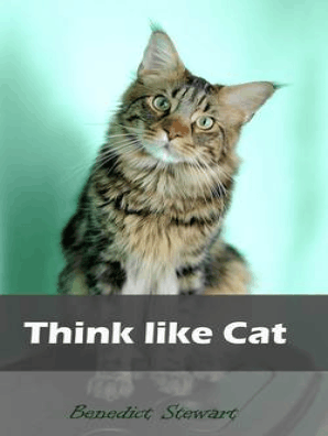 An in depth look at siamese cats