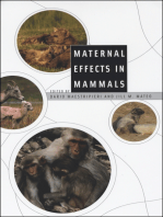 Maternal Effects in Mammals