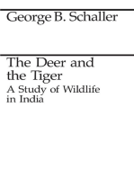 The Deer and the Tiger