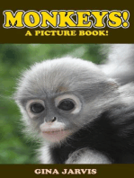 Monkeys!: Cute Animals Series, #3