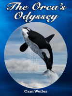 The Orca's Odyssey