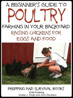 A Beginner’s Guide to Poultry Farming in Your Backyard: Raising Chickens for Eggs and Food