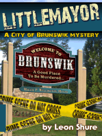 Littlemayor, a City of Brunswik Mystery