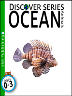 Ocean Animals