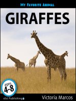 My Favorite Animal: Giraffes
