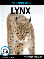 My Favorite Animal: Lynx
