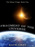 Fragment of the Universe